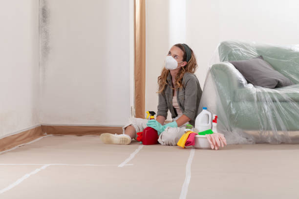 Reliable Mold Inspection And Testing contractor in Hopkinton, MA by Mold Remediation HQ